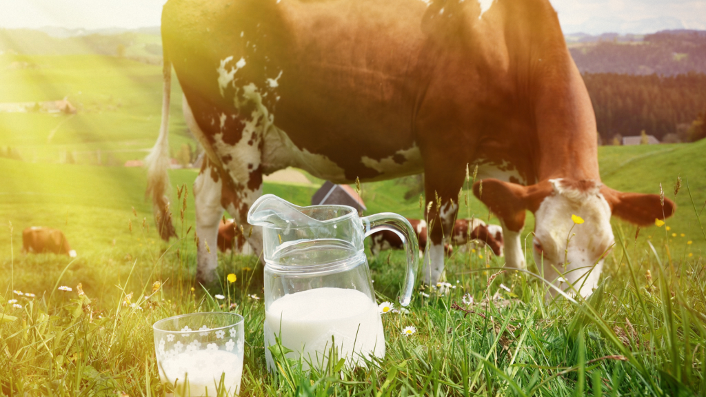 Ist noch Milch da?!